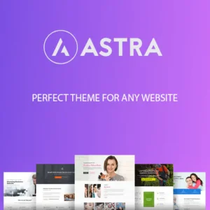 Astra WordPress Theme v4.7.0
